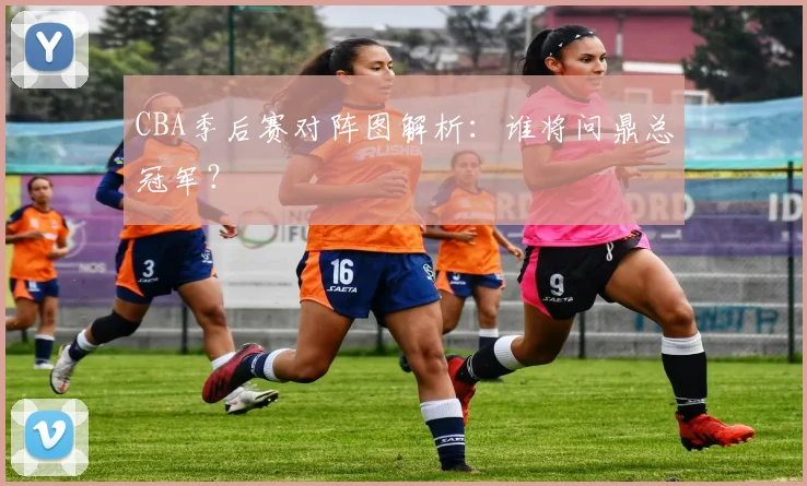 CBA季后赛对阵图解析：谁将问鼎总冠军？